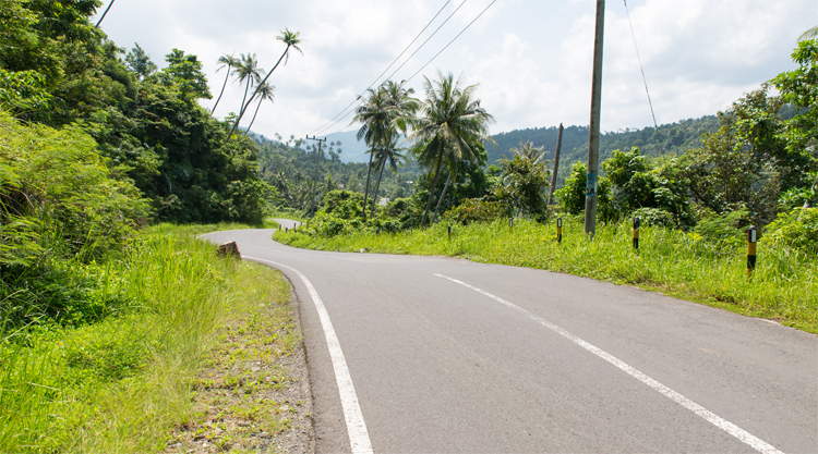 Jungle weg op Pulau Weh tijdens rondreis Indonesië