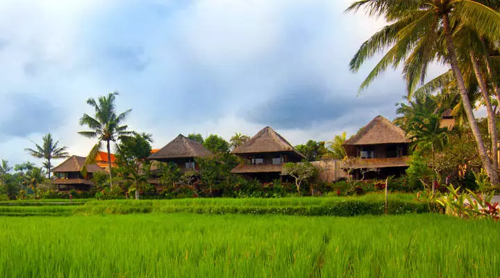 Guesthouse Ubud Hotel Bali resort homestay