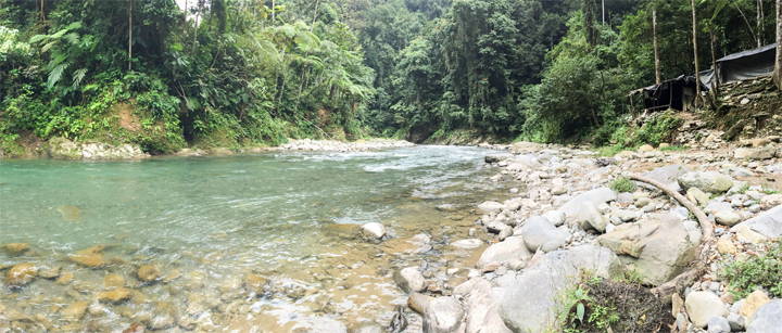 Sumatra Bukit Lawang camp site trekking