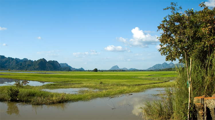 Rijstvelden bij Hpa-An in Myanmar