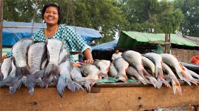 Central Market Bezienswaardigheden highlights Hsipaw Myanmar