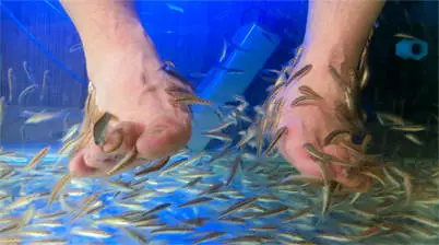 Voeten in een fish spa in Bangkok