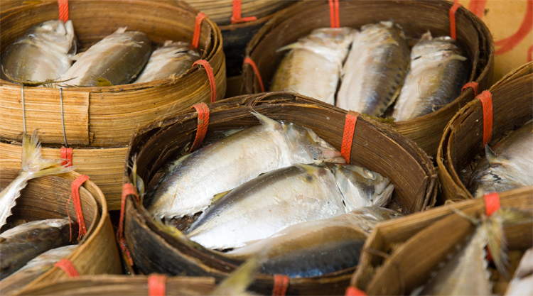 Gedroogde vis op Thewet Market in Bangkok Thailand