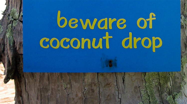 Beware of coconut bord op Koh Kood in Thailand