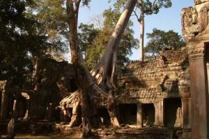 277-cambodja-siem-reap-angkor-wat