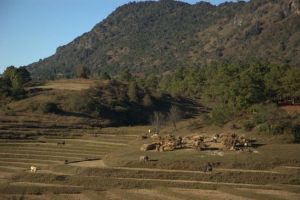 199-myanmar-kalaw-3-daagse-trekking-inle-lake