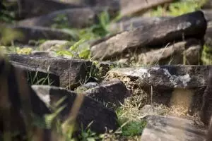 191-laos-rotsen-wat-champasak