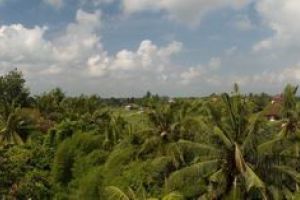 Uitzicht vanaf homestay in Ubud