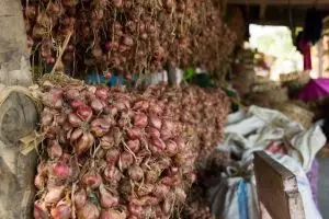 171-lombok-gunung-rinjani-summit