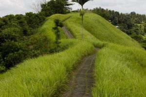 347-bali-ubud-rijstvelden-ricefields