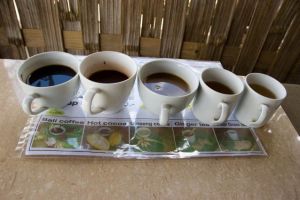 434-bali-luwak-koffie-coffee-kat