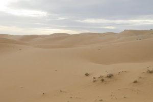 1328-vietnam-mui-ne-sand-dunes