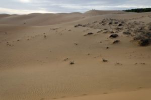 1329-vietnam-mui-ne-sand-dunes