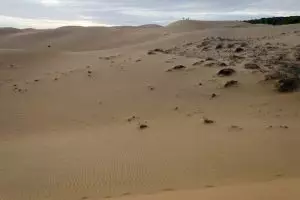 1329-vietnam-mui-ne-sand-dunes